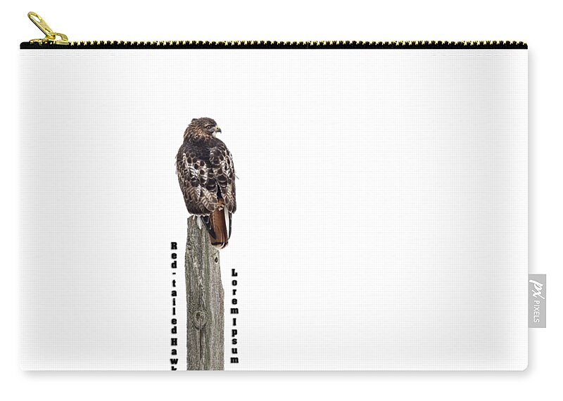 Red-tailed Hawk Carry-all Pouch featuring the photograph Isolated Red-tailed Hawk 2019 by Thomas Young