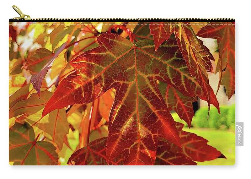 Leaves Zip Pouch featuring the photograph It Is Time by Roberta Byram