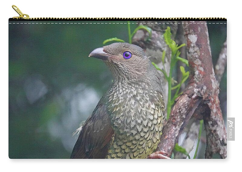 Bowerbird Zip Pouch featuring the photograph It's all in the Eye by Maryse Jansen