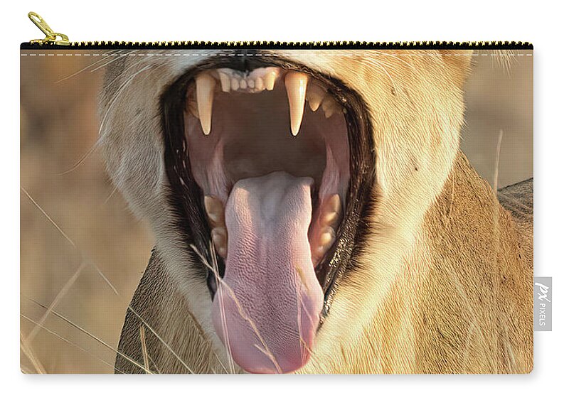 Strahl Zip Pouch featuring the photograph Its Been a Long Day - Close Up by Cheryl Strahl