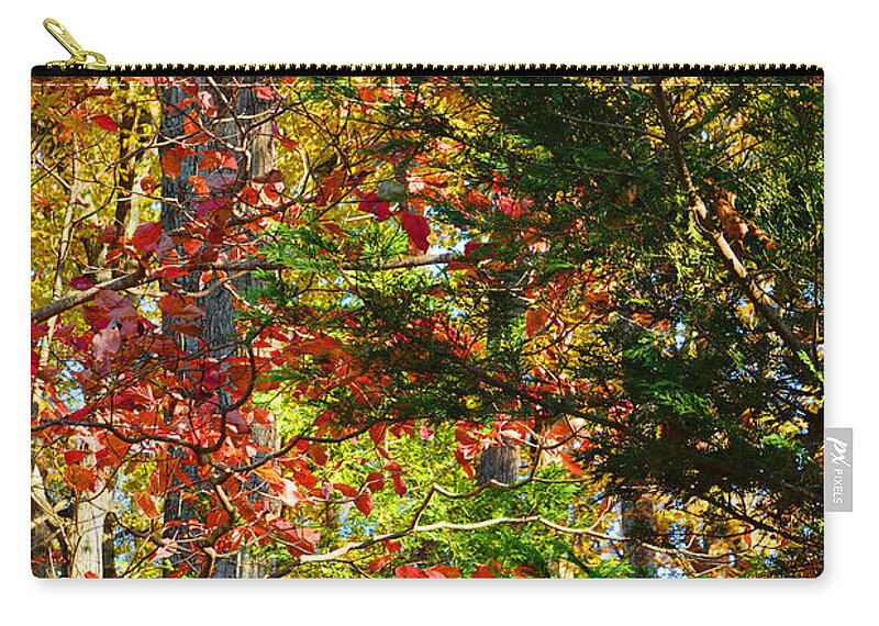 Colorful Carry-all Pouch featuring the photograph It's So Easy Being Green - A Piedmont Autumn Impression by Steve Ember
