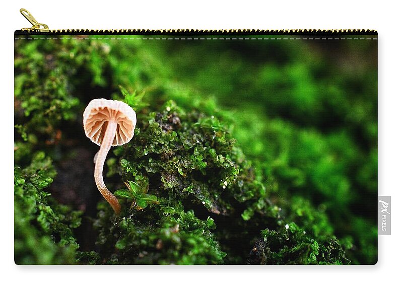 Photo Zip Pouch featuring the photograph Itty Bitty Mushroom by Evan Foster