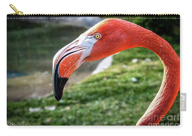 Africa Carry-all Pouch featuring the photograph I've Got My Eye on You by David Levin