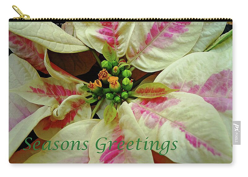 Ivory And Pink Pointsettia Merry Christmas Zip Pouch featuring the photograph Ivory And Pink Pointsettia Seasons Greetings by Debbie Oppermann