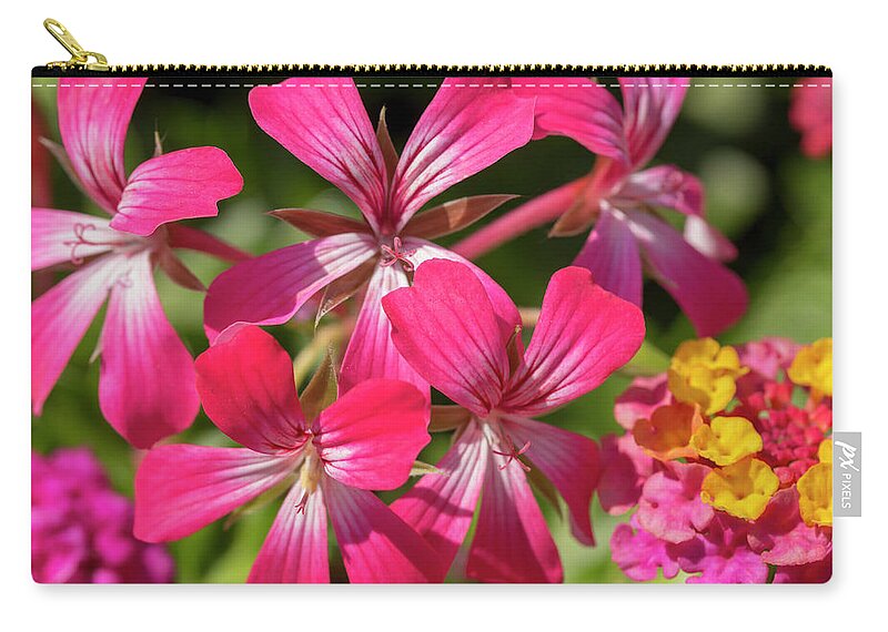 Flower Zip Pouch featuring the photograph Ivy Geranium and Lantana by Dawn Cavalieri
