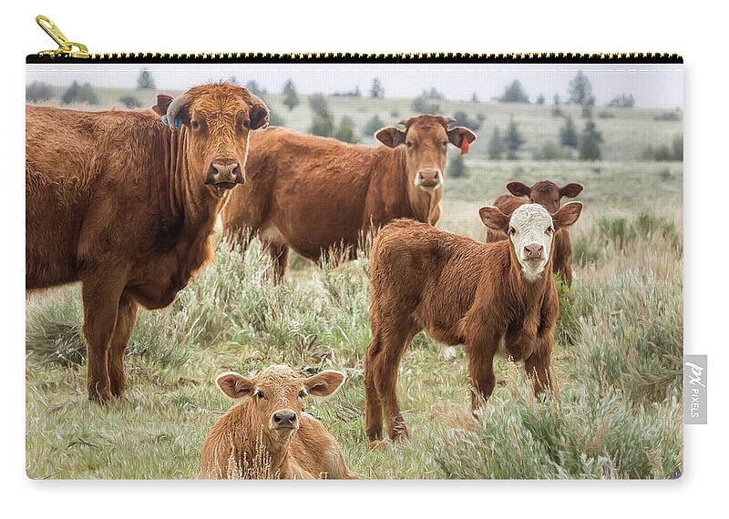 Cow Zip Pouch featuring the photograph J'Accuse by Belinda Greb