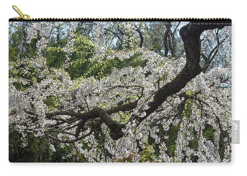 Flower Zip Pouch featuring the photograph Japanese Flowering Cherry 5 by Dawn Cavalieri
