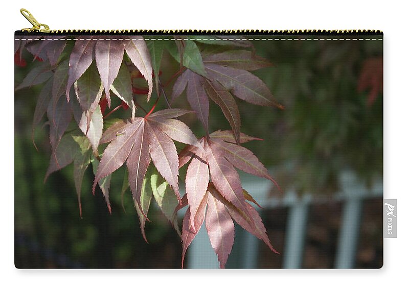  Carry-all Pouch featuring the photograph Japanese Maple by Heather E Harman