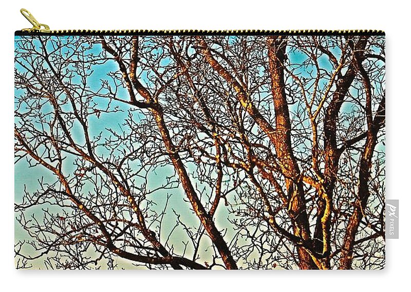 Prints Zip Pouch featuring the photograph Jeff Road Tree facing LEFT in Madison Alabama by Barbara Donovan