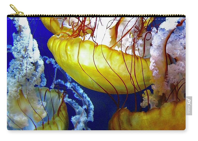 Ocean Zip Pouch featuring the photograph Jellies 1 by Wendy Golden