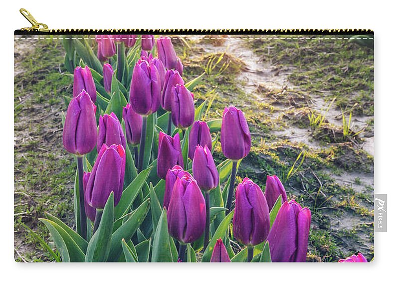 Tulips Zip Pouch featuring the photograph Jewel Tone Tulips by Michael Rauwolf