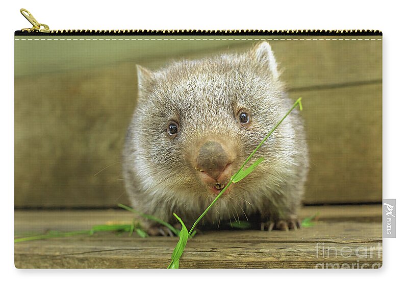 Wombat Zip Pouch featuring the photograph joey of Wombat feeding by Benny Marty
