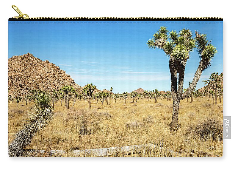 Landscapes Zip Pouch featuring the photograph Joshua Tree-3 by Claude Dalley