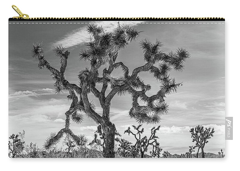 Landscape Zip Pouch featuring the photograph Joshua Tree Black and White by Claude Dalley