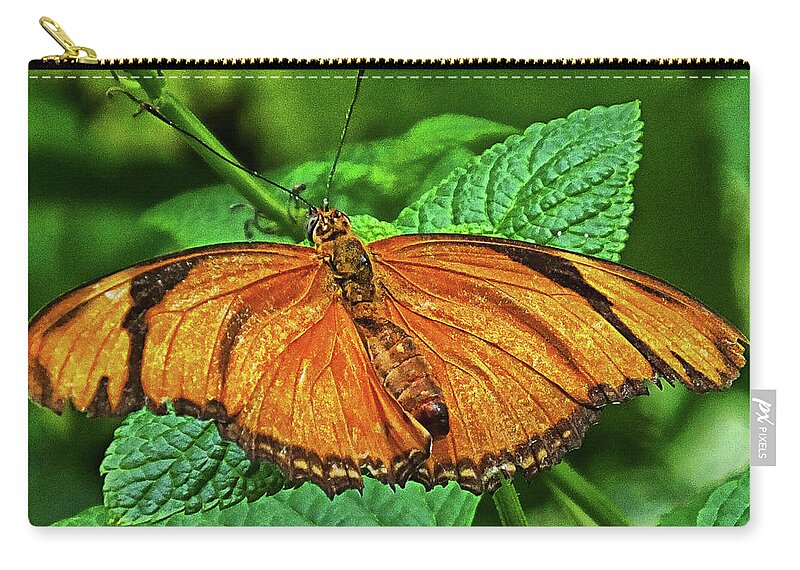 Butterfly Zip Pouch featuring the photograph Julia Heliconian by Bill Barber