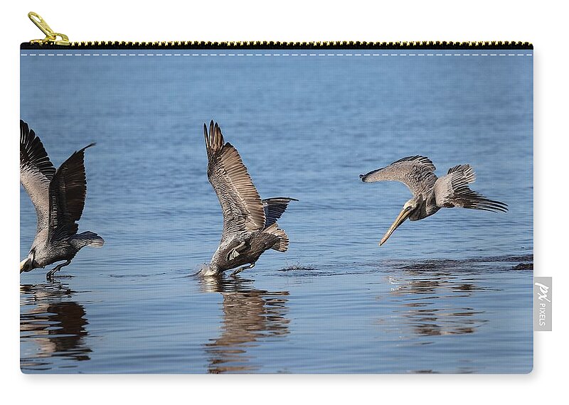 Pelican Zip Pouch featuring the photograph Jumping contest by Mingming Jiang
