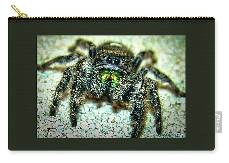 Spider Zip Pouch featuring the photograph Jumping Spider by Rene Vasquez