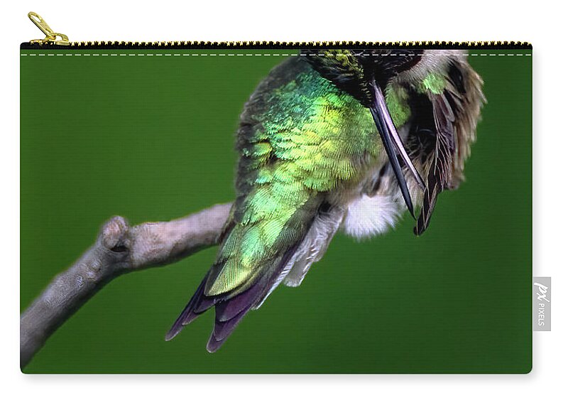 Bird Zip Pouch featuring the photograph June Grooming by Art Cole