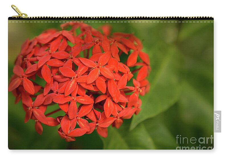 Hawaii Zip Pouch featuring the photograph Jungle Geranium Blossom by Nancy Gleason
