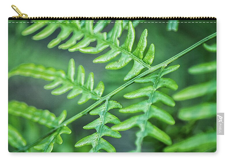Fern Zip Pouch featuring the photograph Just a Closeup of a Wild Fern by Bob Decker