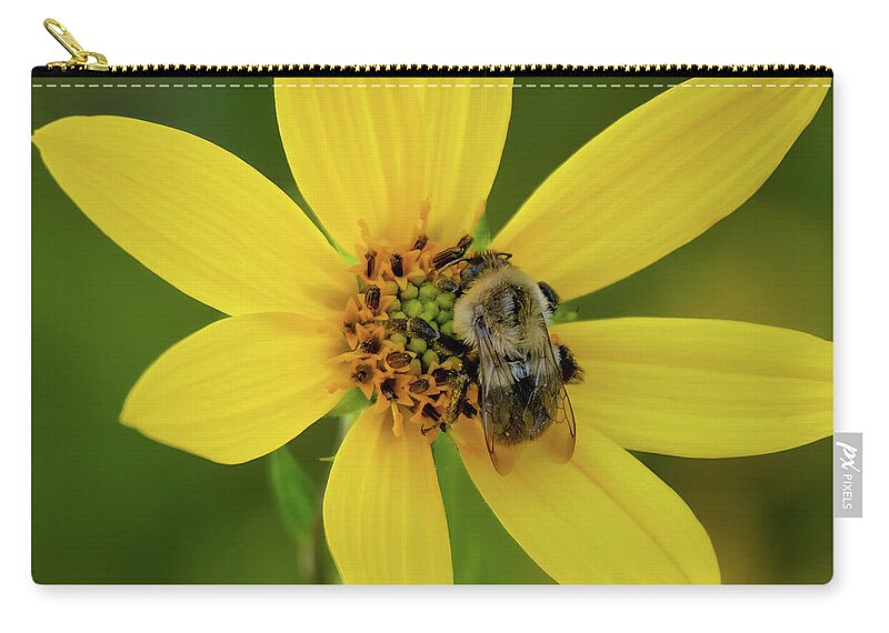 Bee Zip Pouch featuring the photograph Just Doing My Job by John Kirkland