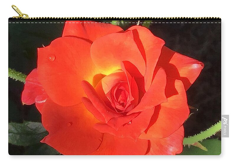 Rose Zip Pouch featuring the photograph Just Orange Bright Rose by Catherine Wilson