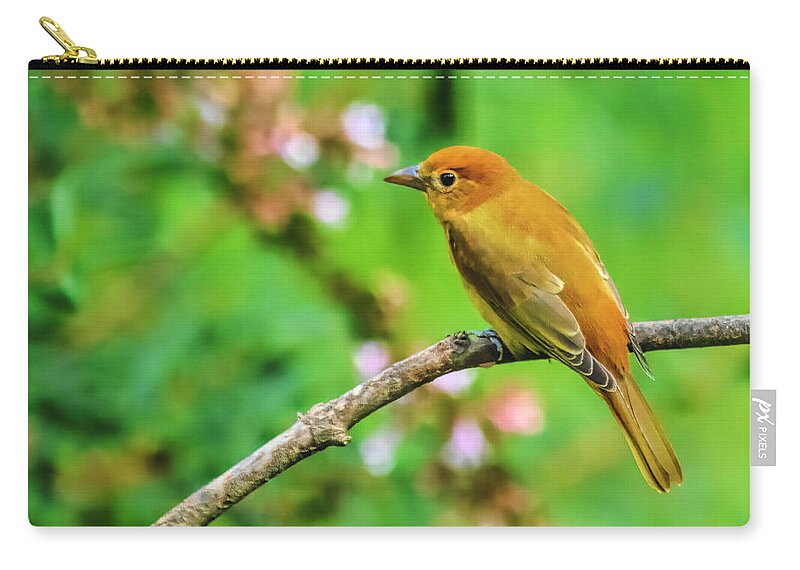 Male Summer Tanager Zip Pouch featuring the photograph Juvenile Male Summer Tanager South Carolina by Bellesouth Studio