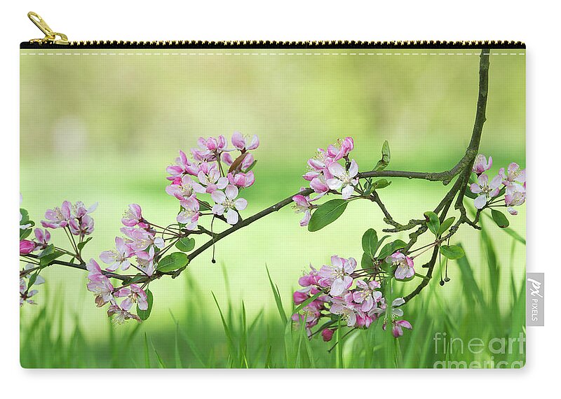 Malus Micromalus Zip Pouch featuring the photograph Kaido Crab Apple Blossom in Spring by Tim Gainey