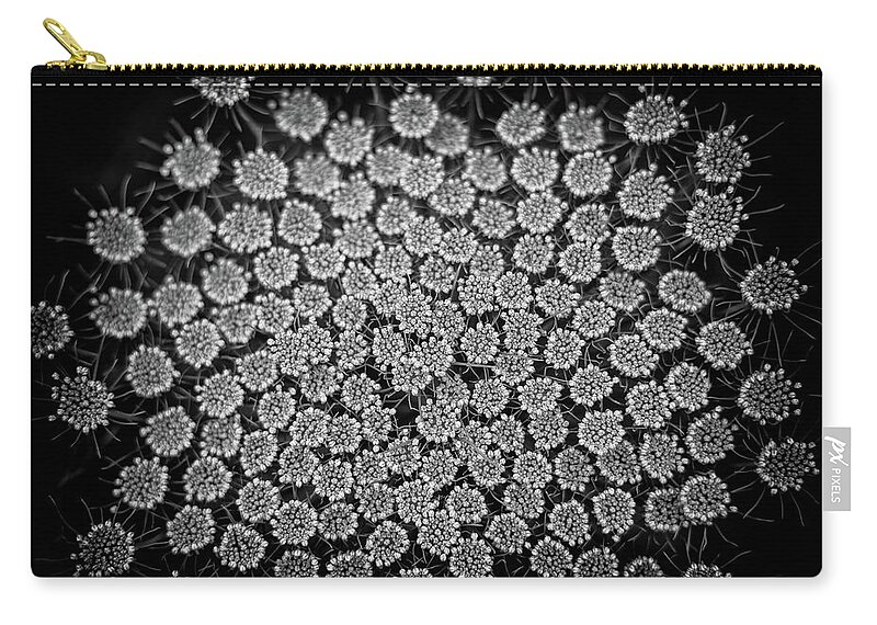 Flower Zip Pouch featuring the photograph Kaleidoscope by Jason Roberts