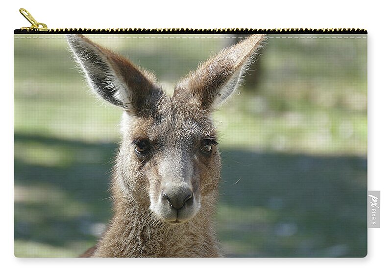 Animals Zip Pouch featuring the photograph Kangaroo portrait by Maryse Jansen