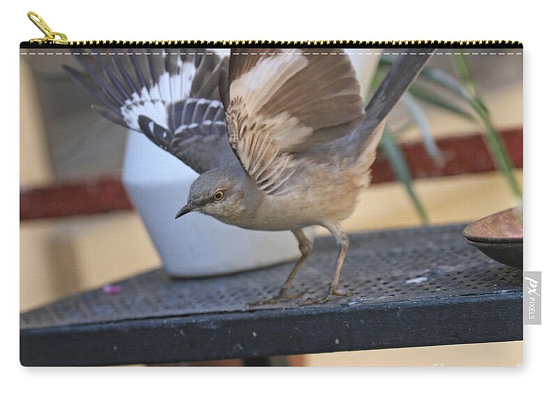 Wildlife Zip Pouch featuring the photograph KEEP AWAY FROM MY FOOD Image Two by Patricia Youngquist