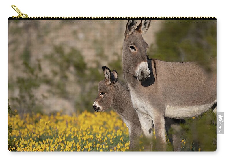 Wild Burros Zip Pouch featuring the photograph Keeping an Eye Out by Mary Hone