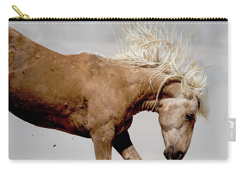 Wild Horse Zip Pouch featuring the photograph Kick by Mary Hone