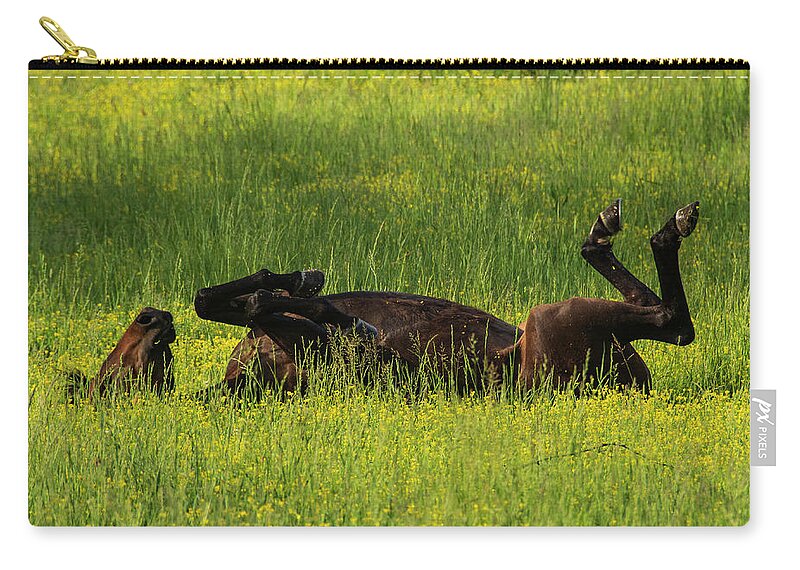 Great Smoky Mountains National Park Carry-all Pouch featuring the photograph Kick Up Your Feet by Melissa Southern