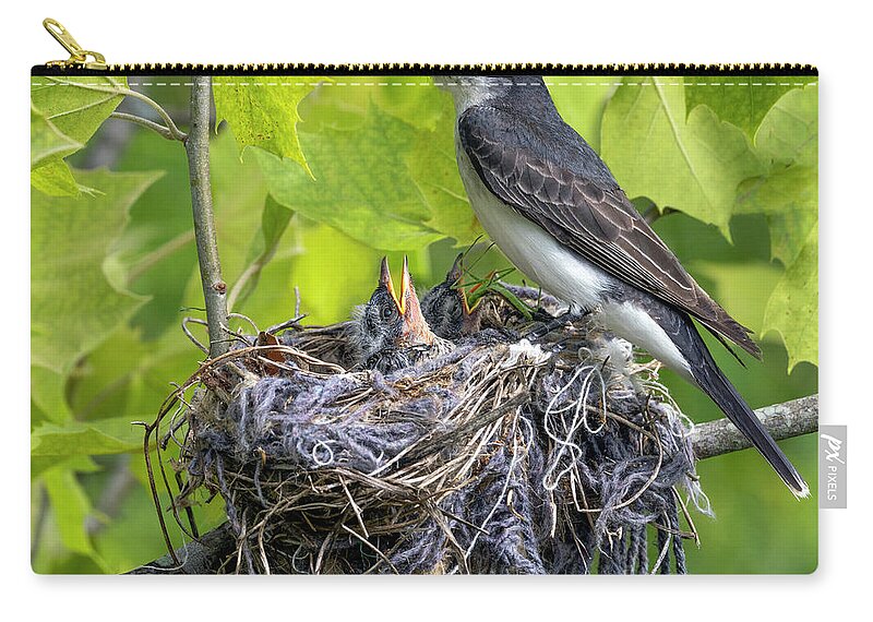 Bird Zip Pouch featuring the photograph Kingbird Nest by Art Cole