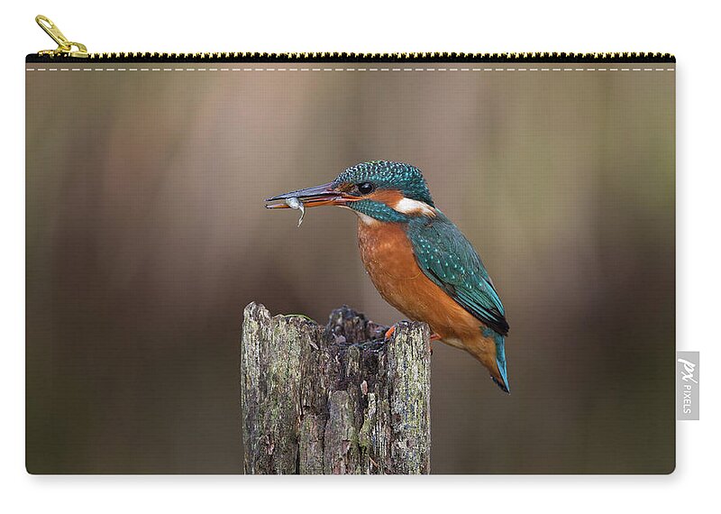 Kingfisher Carry-all Pouch featuring the photograph Kingfisher With Fish by Pete Walkden