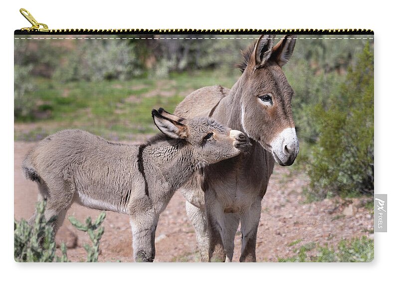 Wild Burro Zip Pouch featuring the photograph Kiss by Mary Hone