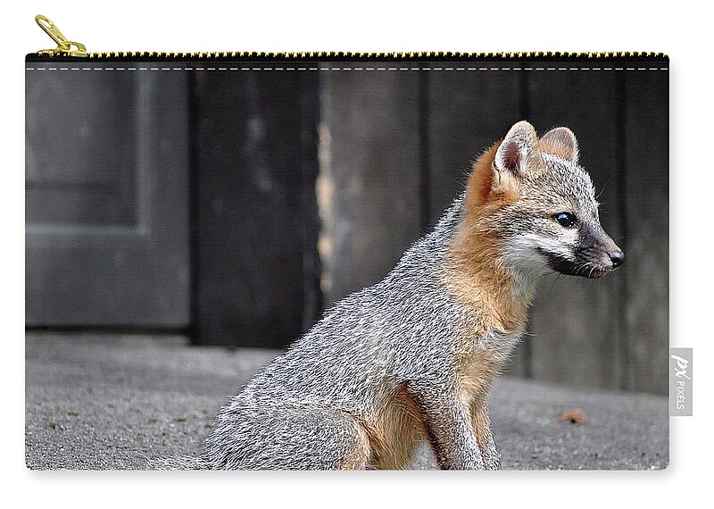 Kit Fox Zip Pouch featuring the photograph Kit Fox2 by Torie Tiffany
