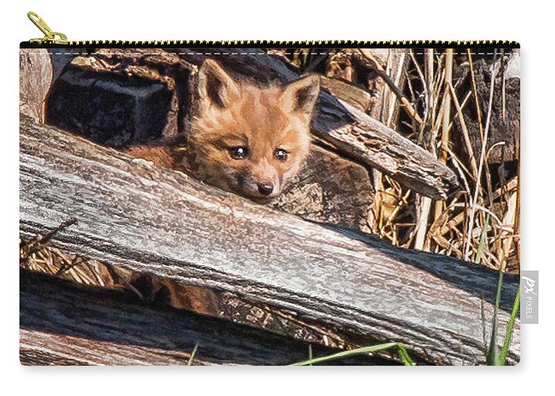Fox Zip Pouch featuring the photograph Kit Portrait by Joe Granita