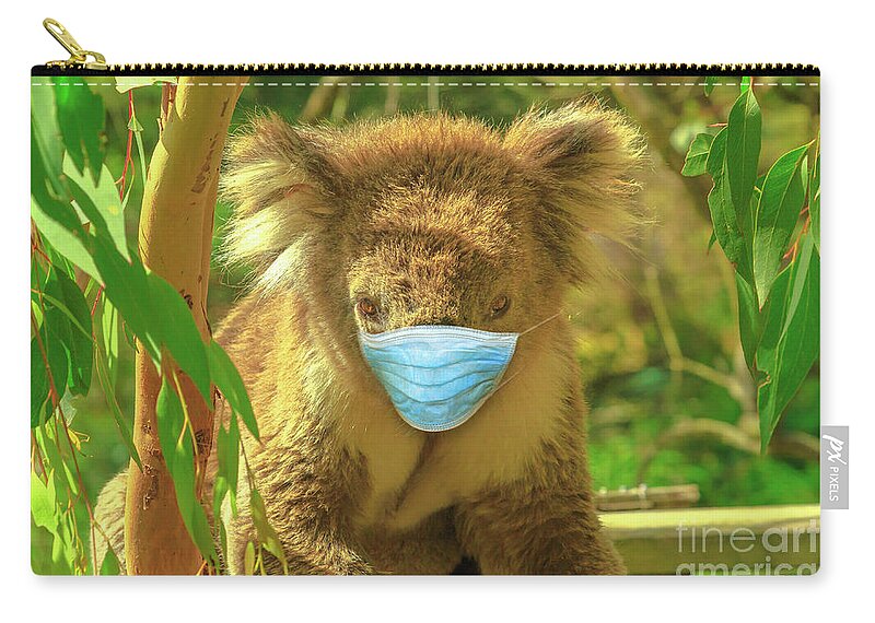 Covid 19 Australia Zip Pouch featuring the photograph Koala With Surgical Mask by Benny Marty