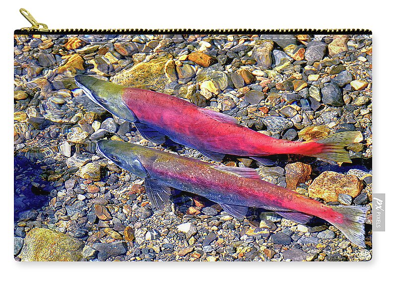 David Lawson Photography Zip Pouch featuring the photograph Kokanee Salmon At Taylor Creek by David Lawson