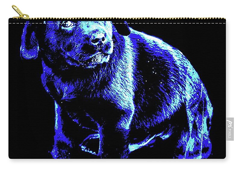 Pup Zip Pouch featuring the photograph Labrador Puppy Glowing by Constantine Gregory