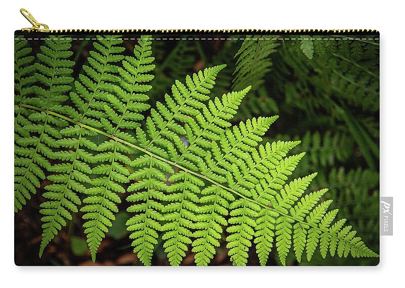 2019 Zip Pouch featuring the photograph Lacy forest floor by Gerri Bigler