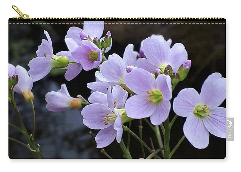 Flower Zip Pouch featuring the photograph Ladies Smock or Mayflower by Brenda Kean