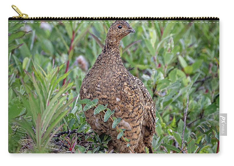Ptarmigan Zip Pouch featuring the photograph Lady Ptarmigan by David Downs
