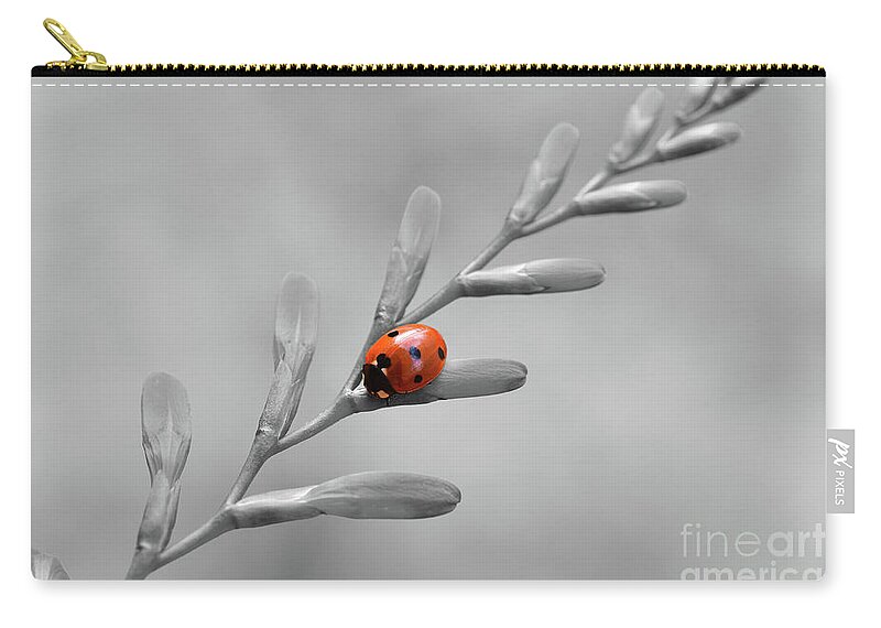 Ladybird Zip Pouch featuring the photograph Ladybird on Crocosmia - Selective Colour by Yvonne Johnstone