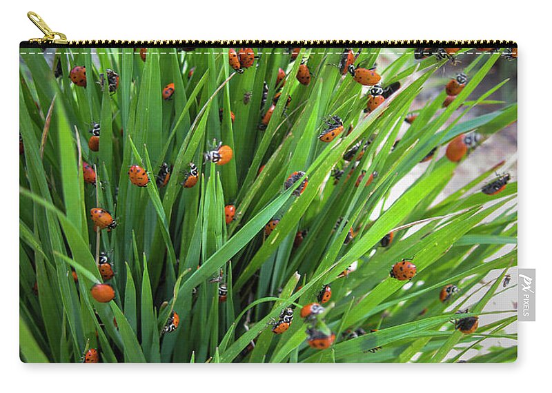 Ladybug Carry-all Pouch featuring the photograph Ladybug Ladybug by Mary Lee Dereske