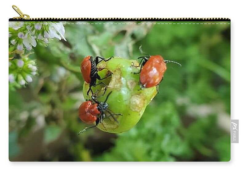 Ladybugs Carry-all Pouch featuring the photograph LadyBugs Feeding by Stacie Siemsen