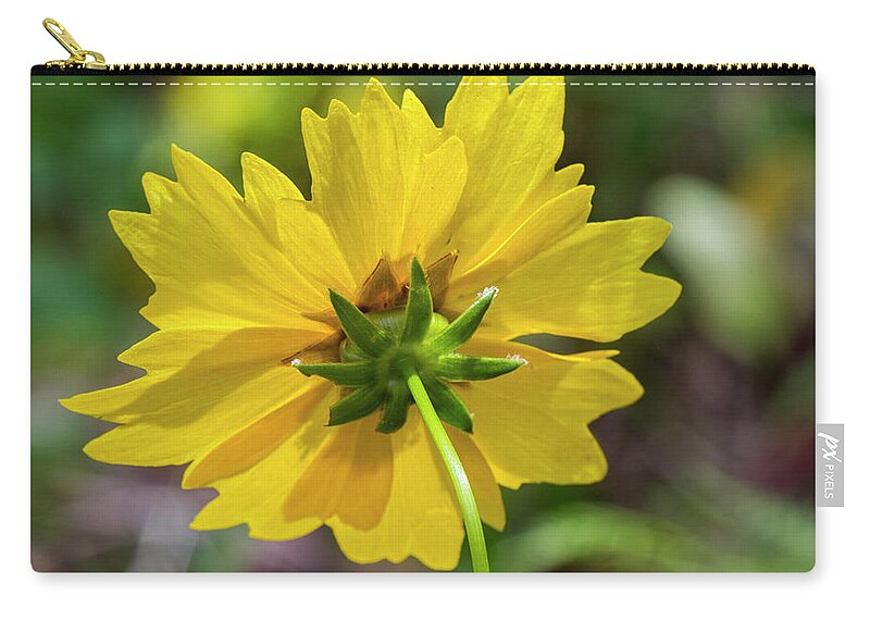 Lanceleaf Zip Pouch featuring the photograph Lanceleaf Coreopsis in North Carolina by Bob Decker