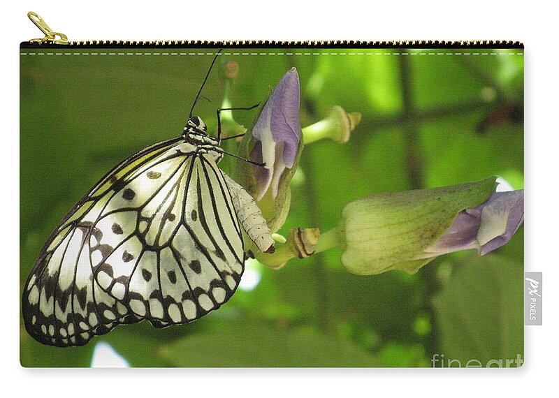 Butterfly Zip Pouch featuring the photograph Landed by World Reflections By Sharon